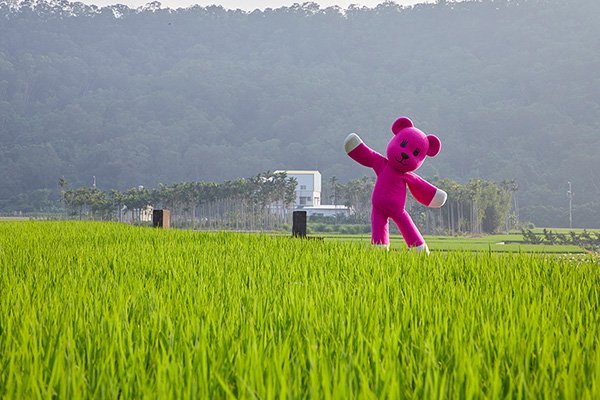 幸福感十足又淘氣的粉紅偶像MOMO熊。(圖片來源/MOMO熊特展)