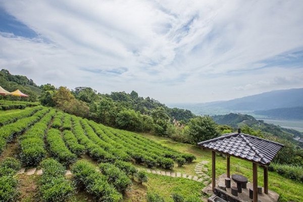 玉蘭茶園採自助式泡茶，在欣賞美景的同時，可以為自己沏一壺好茶 (圖片來源／行政院農委會)