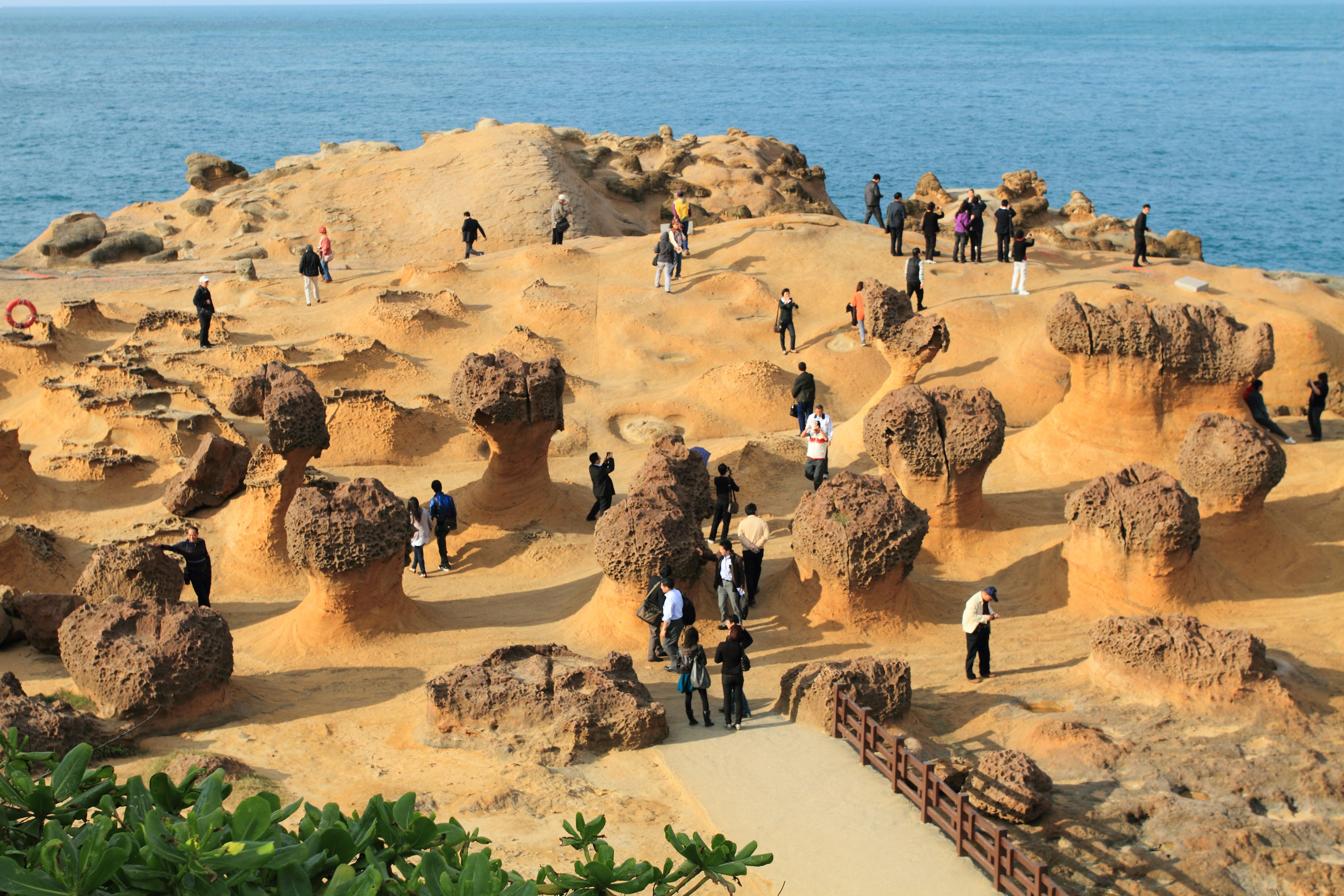 野柳地質公園 (圖片來源／北觀處)