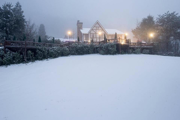 山上人家森林農場冬季雪景 (圖片來源／山上人家森林農場)