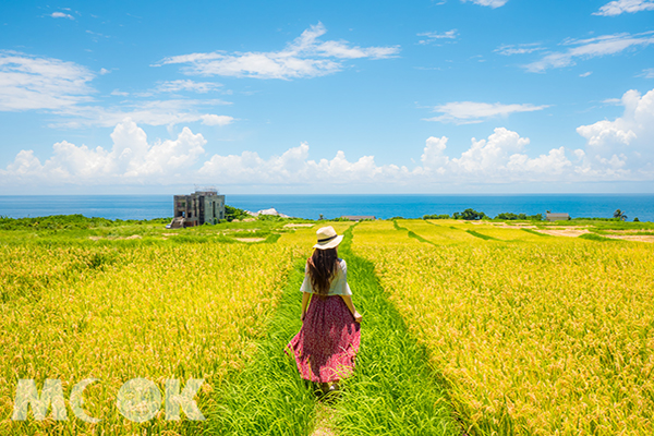 夏季限定最強景觀民宿  水藍金黃無限延伸