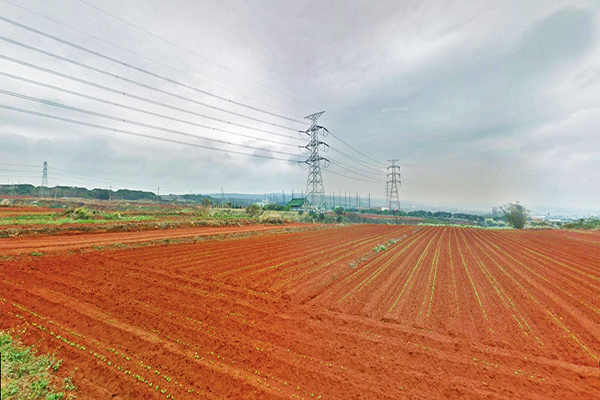 沙鹿區紅土景觀 (圖／Google街景)