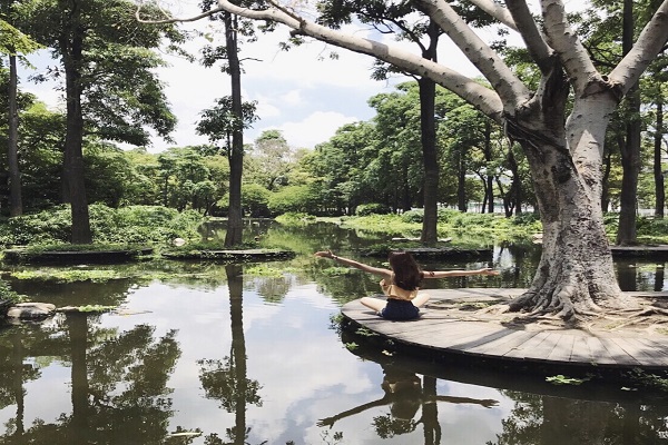 10多棵巨樹林立在池水中，走進水上木棧道景色優美。(圖 / roserosiebb)