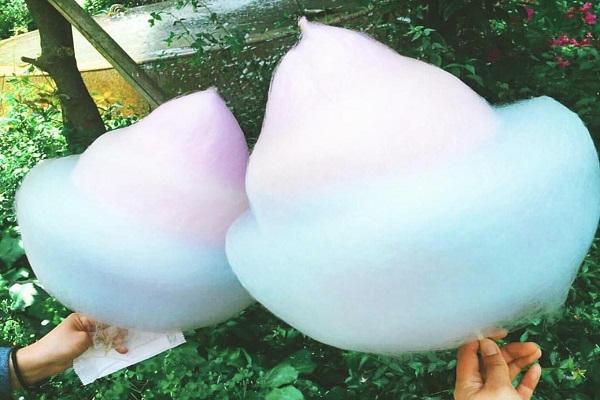 鬆軟的巨型彩色棉花糖為人氣必吃。(圖 / TOTTI CANDY FACTORY)