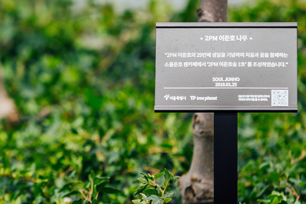 首爾路7017標有K-POP明星名字的樹木 (圖／韓國觀光公社)