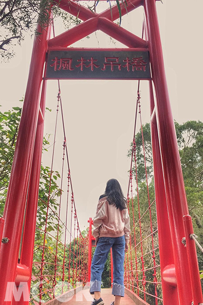 楓林吊橋 (圖／w810815s)