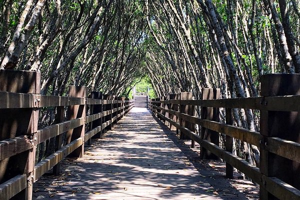 新竹紅毛港的紅樹林遊憩區沿途設有完善的步道 (圖／spark._jian)