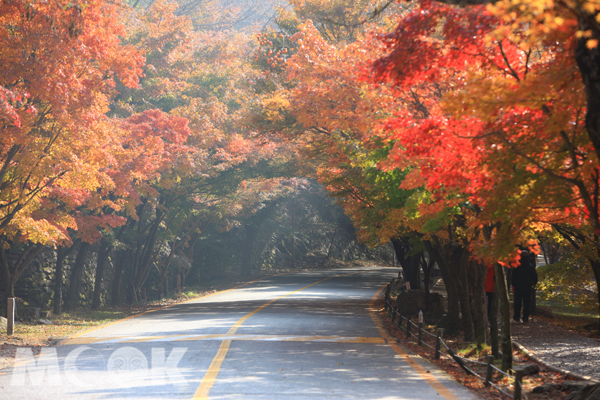 內藏山。(圖/韓國觀光公社)