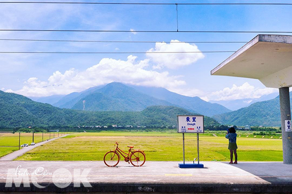 媲美多良壯闊美景　花蓮最美車站擁抱稻海