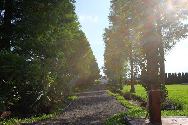 充滿歐風的探索.迷宮歐式莊園 (圖／探索.迷宮歐式莊園)