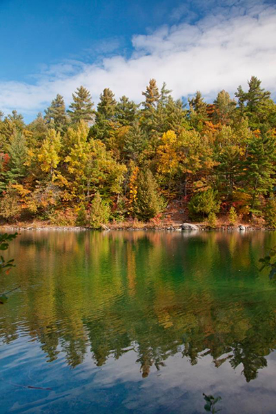 Gatineau Park (圖／Gatineau Park)