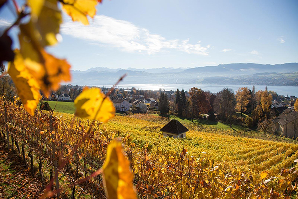 蘇黎世 (圖／Zuerich)