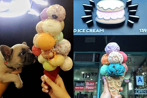 顏色繽紛又造型獨特引發網友話題不斷（圖／Stuffed Ice Cream NYC）