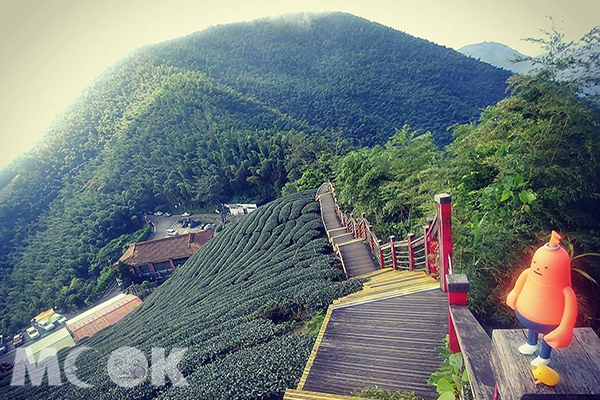 比太平雲梯更刺激  茶園版鷹石尖在這