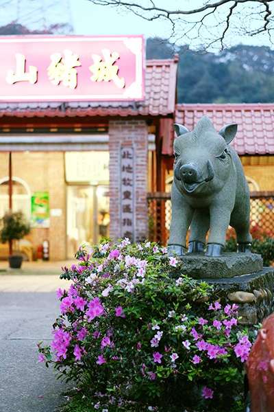 台灣山豬城 (圖／台灣山豬城)