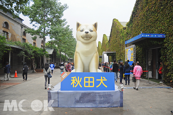 日本東北遊樂日 - 3公尺秋田犬 (攝影／MOOK景點家高嘉俊)