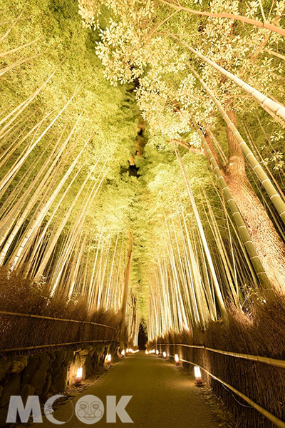 嵐山花燈路 - 竹林小徑 (圖片提供／2017 京都・花灯路推進協議会、京都觀光會議局、J&T CONTENTS)