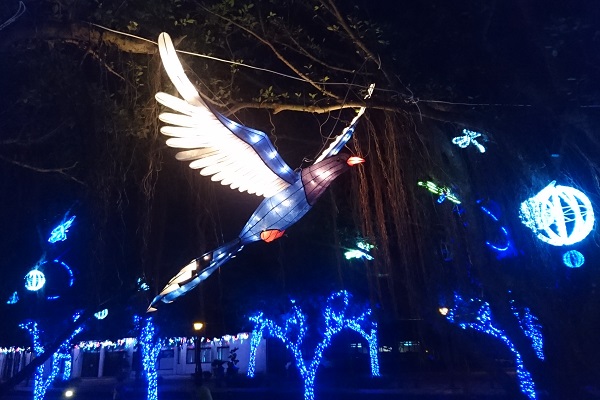 榕樹廣場的「花林蝶語」燈區內有長達兩公尺的國鳥「台灣藍鵲」翱翔其中，十分壯觀（圖／交通部觀光局）
