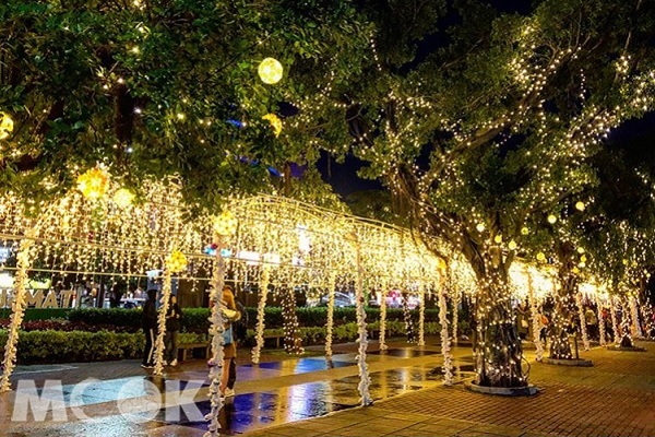 不僅燈海隧道星光點點讓人著迷，路旁的大樹也裝飾著燈飾，具有異國風情（圖片提供／betty5519）