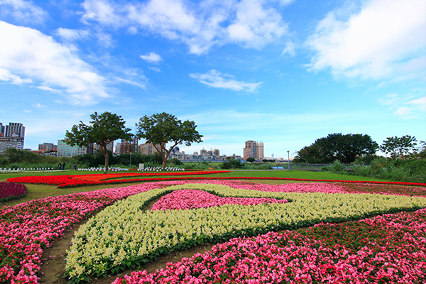 媲美歐洲花園  河濱繽紛花海假日出遊新景點