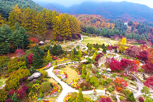 晨靜樹木園 (圖／아침고요수목원)