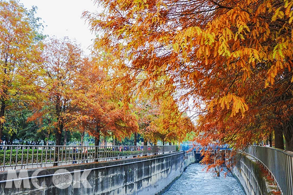 林內農田水利博物館 (圖片提供／odw.photo)