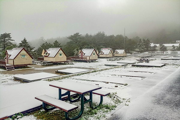 賞花名所下初雪  白雪小木屋森林超浪漫