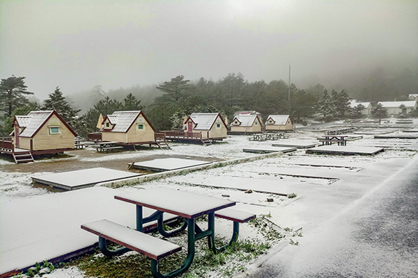 福壽山農場降下初雪 (圖／福壽山農場，以下同)