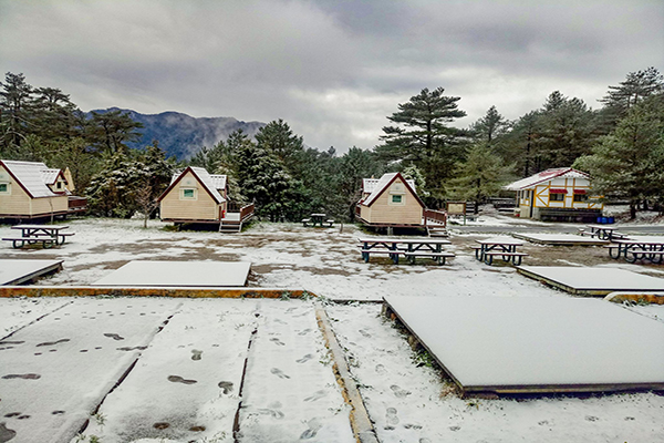 福壽山農場被白雪覆蓋的露營區小木屋。