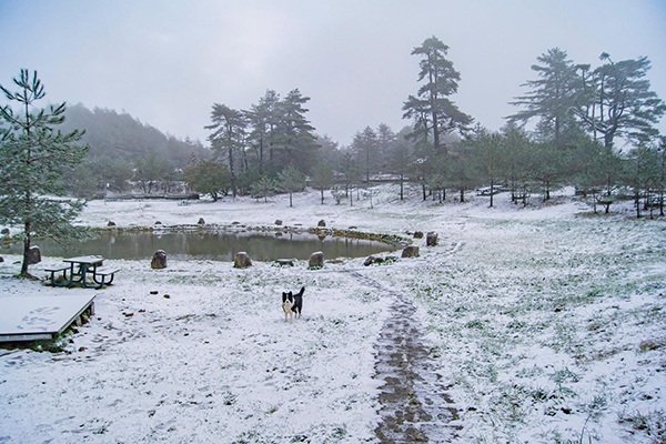 福壽山農場天池湖景下雪後的浪漫景緻。