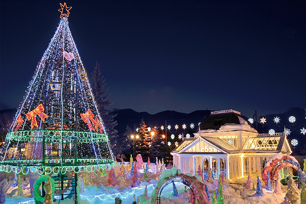 白色戀人公園燈樹節 (圖／札幌夜景觀光推廣協會)