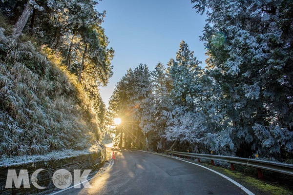 宜蘭太平山國家森林遊樂區在寒流來襲的低溫降起初雪，日出時分的融雪場景宛如來到異國銀色世界（圖片提供／石世民）