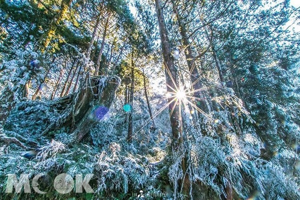 日出陽光漸漸升起，雪慢慢融化，霧淞在陽光下閃閃發亮（圖片提供／76.tw）