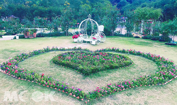 雙心玫瑰造景好浪漫  6千坪歐風莊園拍不完