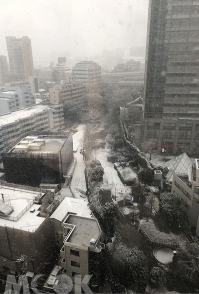 東京降下大雪，市區一片霧濛濛。（圖片提供／Jessica）
