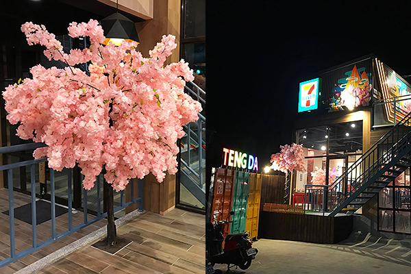櫻花鐵道風超商新景點  貨櫃屋櫻花樹打卡必拍