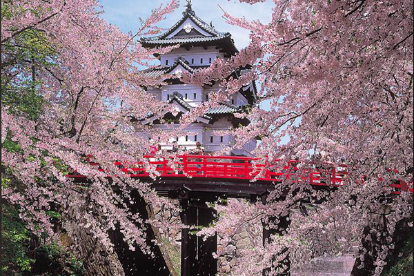 弘前城賞櫻勝地 (圖／青森県観光)