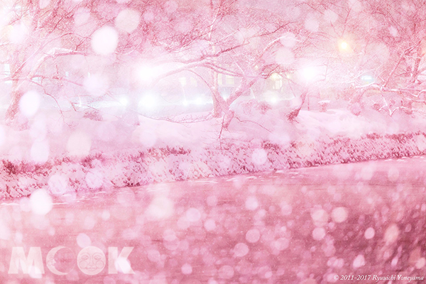 弘前冬季浪漫繽紛雪景 (圖片提供／Ryuuichi Yoneyama)