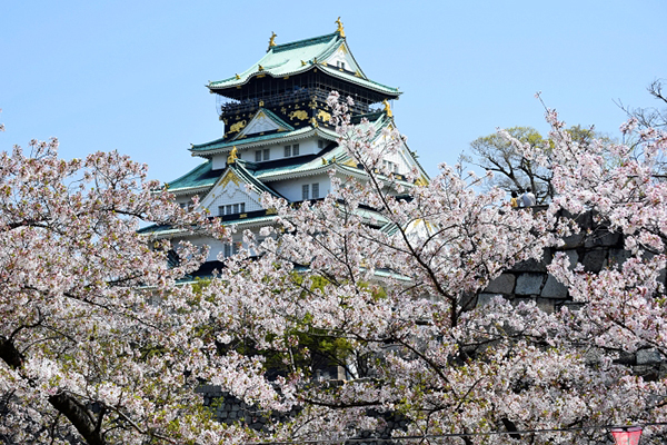 今年賞櫻就到這！日本櫻花名所懶人包