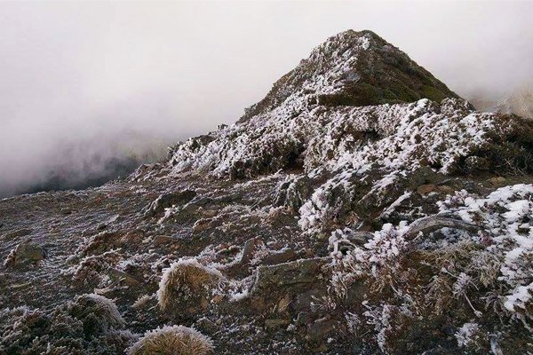 寒流來襲，海拔1000公尺左右高山都有機會見到降雪景色（圖片來源／登峰造極　雪霸之美）