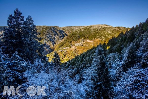 太平山雪景，迷人的樣貌讓賞雪民眾捨不得離開。（圖片提供／石世民）