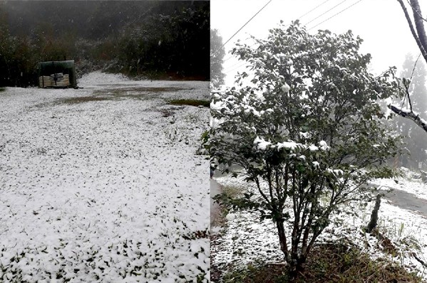 烏來山區降下白雪，引發新一波賞雪潮。（圖／新店警好讚)