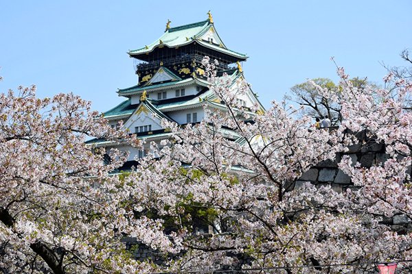 大阪城公園是大阪著名的賞櫻景點。 (圖／写真AC)