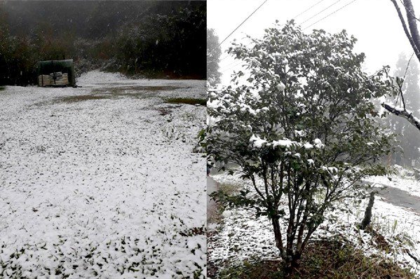 烏來山區降下白雪，引發新一波賞雪潮 (圖／新店警好讚)