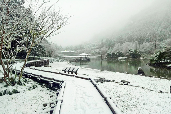 明池雪景 (圖／明池國家森林遊樂區)