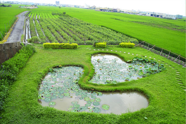 雙心池塘