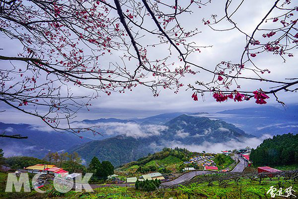 五峰鄉得仙境桃花源 - 涼山部落 (圖片提供／曾進發)