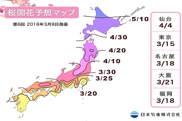 日本櫻花季前線預測 (圖／日本氣象株式會社)