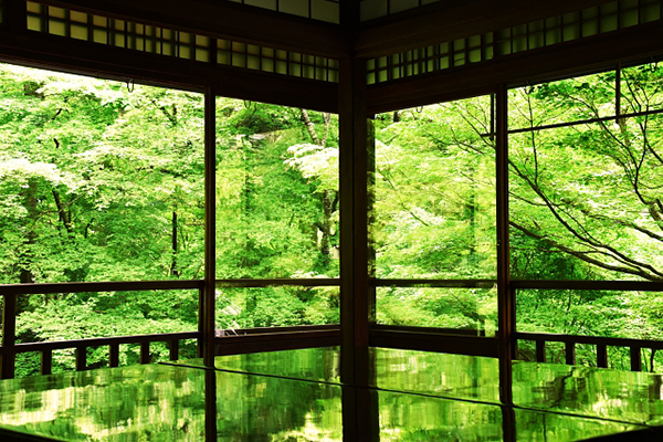 絕美奇景一年只有兩次  京都瑠璃光院宛如夢境