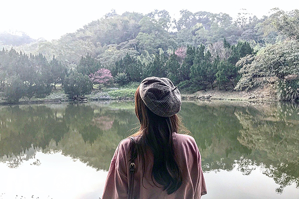 翠綠的樹林清晰倒影在湖水中十分優美 (圖片提供／wei_ling1001)